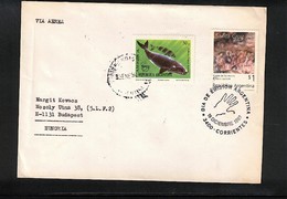 Argentina 1993 Interesting Airmail Cover - Lettres & Documents