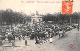 80-AMIENS- PLACE DU MARCHE AUX CHEVAUX - Amiens