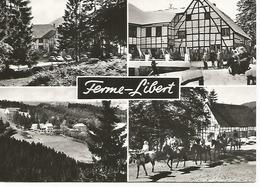 Delcampe - Malmedy   (rp - Malmedy