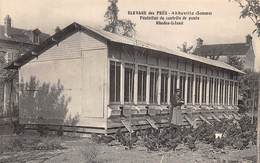 80-ABBEVILLE- ELEVAGE DES PRES- POULAILLER DE CONTRÔLE DE PONTE KHEDES-ISLAND - Abbeville