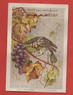 Caen, Biscuits Mollier, Chromo Grand Format, Ornithologie, Grive Musicienne, Illustrateur G. Fanty Lescure - Sonstige & Ohne Zuordnung