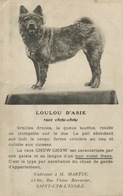 St Cyr L' Ecole 25 Bis Rue Berrurier M. Martin Elevage Chiens Chow Chow China Mongolia  . Loulou D' Asie - St. Cyr L'Ecole