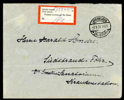 Beleg Deutsche Lokalausgabe 1918-23 - Other & Unclassified