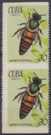 1971.123 CUBA. 1971. Ed.1974. S/ GOMA. 30c APICULTURA, ABEJA REINA, BEE. - Ongebruikt