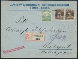 SHS 1919 Jan. 31. Tarifahelyes Ajánlott Távolsági Levél Károly 2 X 20f + Arató 5f (magyar Bélyeg) Bérmentesítéssel R! - Autres & Non Classés