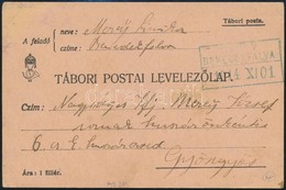 1914 Tábori Postára Küldött Lap 'Sz.V.V. BENEDEKFALVA' - Other & Unclassified