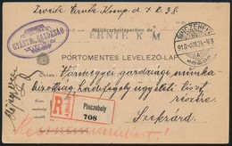 1918 Ajánlott Portómentes Levelezőlap Hadifogoly ügyben ERNTEK ,,PINCZEHELY-SZEKSZÁRD' - Otros & Sin Clasificación