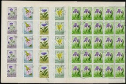 O 1967 Virág (VIII.) 2 Db Teljes ív Sor, Az Egyik Középen Hajtott (összesen 100 Db Sor) (25.000) - Autres & Non Classés