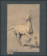 Hurdisán Jelzéssel: Fehér Ló. Akvarell-tus, Papír, 21×14 Cm - Andere & Zonder Classificatie
