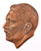 Jelzés Nélkül: Hitler, Réz Relief, 16×12 Cm - Other & Unclassified