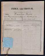 1876-1879 Bp., Kir. M. Tudományegyetem Filozófia Szakos Indexe (philosophica Facultatis), Másolat, Pecsétekkel - Zonder Classificatie