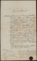 1884 Bp., Sóhivatali Ellenőr Nyilatkozata Gyermek Elismerése ügyében, Viaszpecséttel - Unclassified