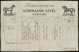 1917 Monyoró-rajszegi Uradalom Származási Levél / Pedigré Lónak - Non Classés