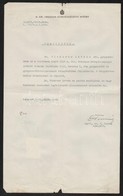 Cca 1920-1940 Különféle Gyógyszerészeti Gyakornoki Igazolások, Egy Részük Okmánybélyeggel - Unclassified