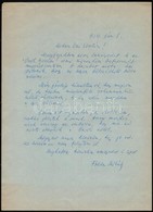 1959 Földes Mihály (1905-1984) József Attila-díjas író, újságíró Saját Kézzel írt Levele Vas Zoltán 56-os államminiszter - Non Classificati