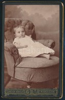 1884 Esser Ferenc Diósgyőri Gyógyszerész Lányát ábrázoló Fotó, Hátoldalon A Gyógyszerész Címkéjével, Keményhátú Fotó Zur - Other & Unclassified