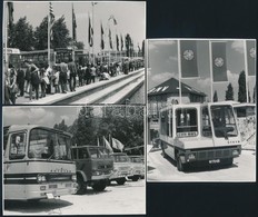 Kiállított Buszok A Budapesti Nemzetközi Vásáron, 3 Db Fotó, 8,5×11,5 Cm - Sonstige & Ohne Zuordnung