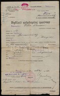 1918 Népfölkelő Szabadságolási Igazolvány, Sérült. - Other & Unclassified