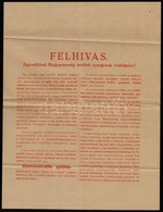 Cca 1930 Magyarország Területi Épségének Védelmi Ligája Felhívása és Csatlakozó íve 4p. - Ohne Zuordnung