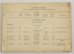 Cca 1947 A Budapesti (Fővárosi) Vízművek Személyzetének Névjegyzéke Szolgálati Tagozódás és Sorrend Szerint Csoportosítv - Zonder Classificatie