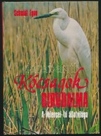 Schmidt Egon: Kócsagok Birodalma. A Velencei-tó állatvilága. Bp.,1980, Natura. Kiadói Kartonált Papírkötés, Jó állapotba - Non Classés