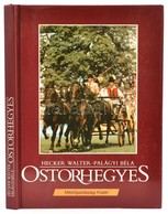 Hecker-Palágyi: Ostorhegyes. Bp., 1987. Mezőgazdasági - Zonder Classificatie