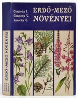 Dr. Csapody István-Dr. Csapody Vera-Dr. Jávorka Sándor: Erdő-mező Növényei. Bp., 1980, Nautra. Kiadói Kartonált Papírköt - Unclassified