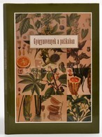 Gyógynövények A Patikában. Bp., 2002, Galenus. Gazdag Képanyaggal. Kiadói Kartonált Kötés, Kiadó Papír Védőborítóval, Jó - Non Classés