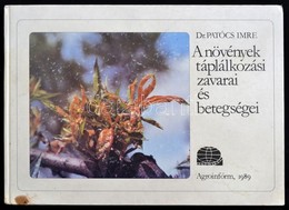 A Növények Táplálkozási Zavarai és Betegségei. Szerk.: Dr. Patócs Imre. Bp., 1989, Agroinform. Kiadói Kartonált Papírköt - Unclassified