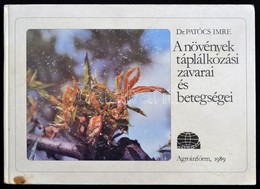 A Növények Táplálkozási Zavarai és Betegségei. Szerk.: Dr. Patócs Imre. Bp., 1989, Agroinform. Kiadói Kartonált Papírköt - Non Classés