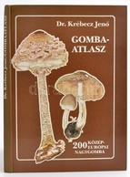 Dr. Krébecz Jenő: Gombaatlasz. Bp., 1988, Pallas. Kiadói Kartonált Papírkötés. - Non Classés