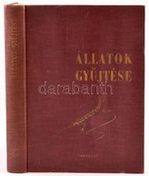 Móczár László: Állatok Gyűjtése. Bp., 1962. Gondolat. Kiadói Egészvászon Kötésben. - Sin Clasificación