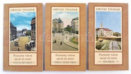 Ortvay Tivadar: Pozsony Város Utcái és Terei. Nándorváros, Ferenc József Város, Újváros. 3 Kötet. Kalligram 2009. 154, 1 - Non Classificati