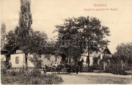 T2/T3 Orosháza, Gyopáros Gyógyfürdő Részlet, Hintó. W. L. (?) 489. (EK) - Zonder Classificatie