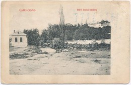 T2/T3 1909 Csákigorbó, Garbou; Báró Josika Kastély / Castle (EK) - Non Classés