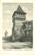 T2/T3 Nagyszeben, Hermannstadt, Sibiu; Harteneck Utca és Torony / Street View With Towers. Krafft & Drotleff (EK) - Non Classés