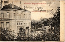 T2/T3 1906 Nagyszentmiklós, Sannicolau Mare; Gróf Nákó Sándor Kastélya. Kiadja Wiener Náthán / Castle (fl) - Unclassified