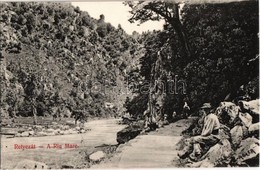 T2 Retyezát, Retezat; A Nagy-Víz (Sebesvíz) Völgye. Adler Fényirda 1908. / Riu Mare / Riverside, River Bank - Unclassified