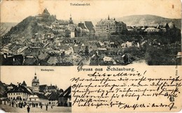 T3 1901 Segesvár, Schässburg, Sighisoara; Totalansicht, Marktplatz / Látkép, Vár, Piactér, Piaci árusok és üzletek. Kiad - Unclassified