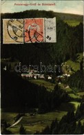 T2/T3 1909 Feketehegy-fürdő, Cernohorské Kúpele (Merény, Nálepkovo); Nyaralók, Bükköstető. Kiadja Lomnitzy V. / Villas,  - Zonder Classificatie