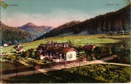 * T2/T3 1916 Fenyőháza, Lubochna; Tercsi Lak / Villa (EK) - Zonder Classificatie