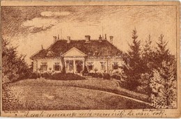 T2/T3 1912 Ipolynyék, Nekyje, Vinica; Haydin Károly Kastélya / Castle (EK) - Zonder Classificatie