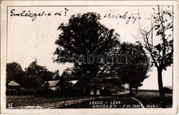 * T2/T3 Léva, Levice; Rákóczy Fa 1707-105 / Rákoczi Tree. Photo (EK) - Unclassified