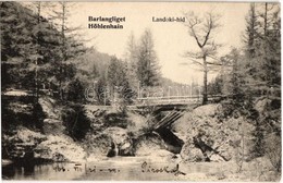 T1/T2 1906 Tátra, Tatry; Barlangliget, Höhlenhain, Tatranská Kotlina; Landoki Híd. Britz Berta Felvételi Tulajdona / Bri - Unclassified