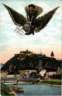 * T2/T3 Graz. Gruss Aus Garz / Little Boy Riding A Bird. Montage. Kunstverlag Frank Nr. 675/1. (EK) - Unclassified