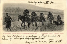 T2/T3 1902 Caucasus, Types Du Caucase, Charbonier, Cheval Et Anes / Caucasian Folklore, Horses And Donkeys (EK) - Sin Clasificación