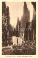 ** T2/T3 Constantinople, Istanbul; Le Grand Cimetiere De Scutari / Turkish Cemetery. F. Rochat No. 1220. (EK) - Unclassified