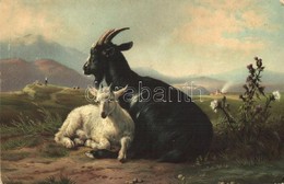 T2/T3 Ziege Und Zicklein / Goats Litho S: Jacques Raymond Brascassat (EK) - Non Classés