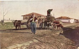 T2/T3 Albanian Folklore, Ox Cart Nr. 21. (EK) - Non Classés