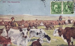 T3 American Cowboys With Cows (EB) - Unclassified